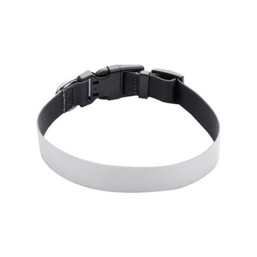 HUNDEHALSBAND mit Druck
