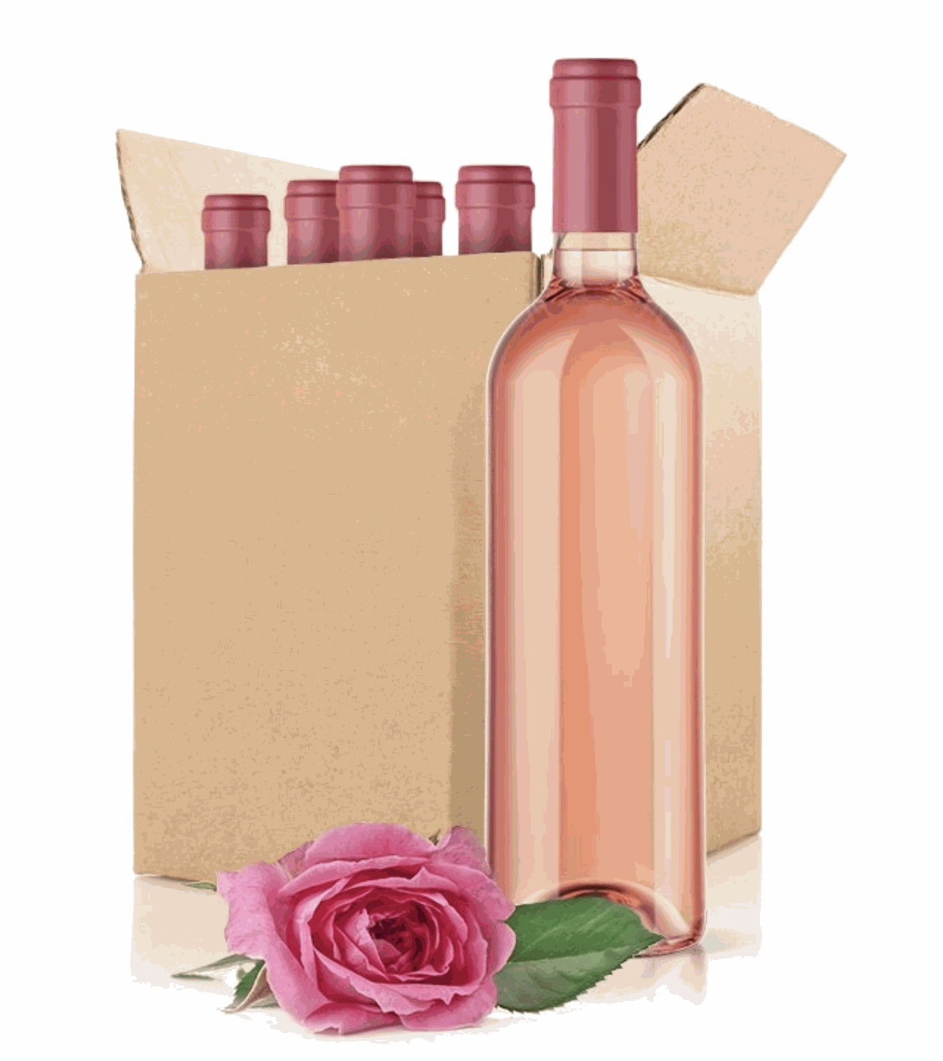 Wein Foto-Druck - eigener Druck auf Weinflasche - Weinflaschen schnell und günstig bedrucken